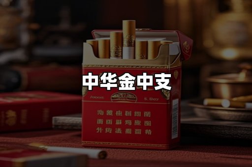 中华金中支